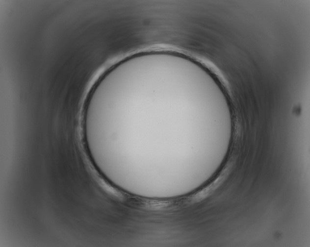 X0000102461278200808080935