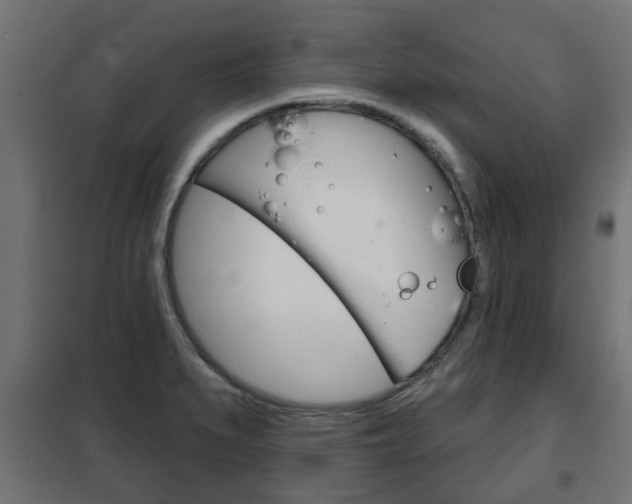 X0000102461279200808080935