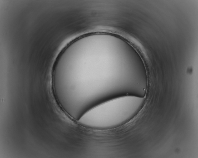 X0000102461280200808080935