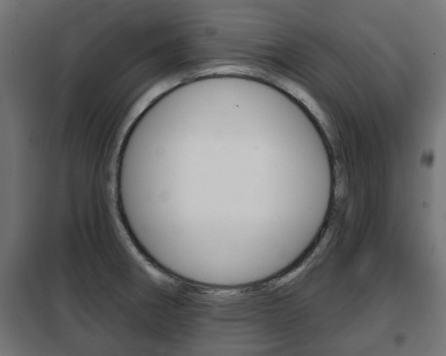 X0000102461282200808080935