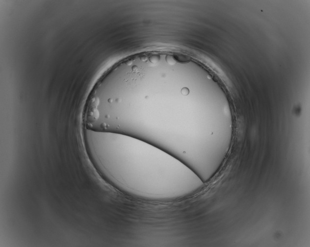 X0000102461283200808080935