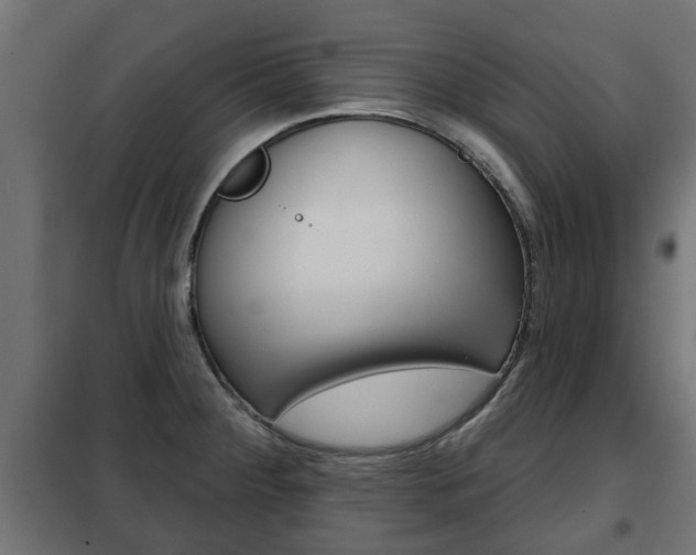 X0000102461284200808080935