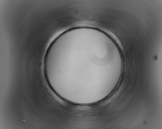 X0000102461285200808080935