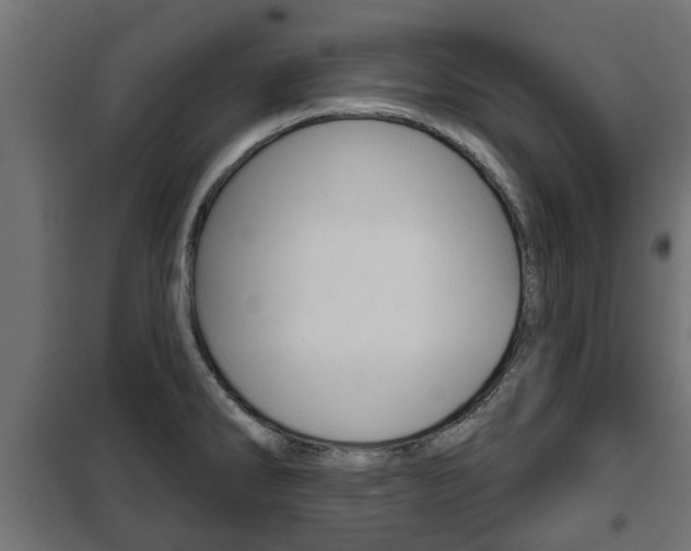 X0000102461286200808080935