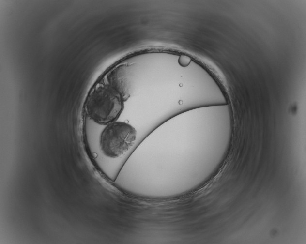 X0000102461287200808080935