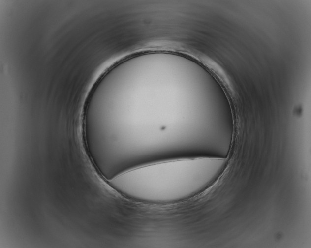 X0000102461288200808080935