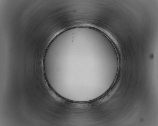 X0000102461289200808080935