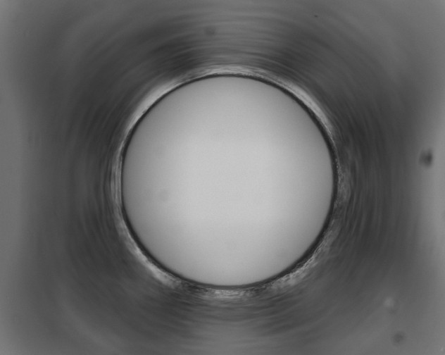 X0000102461290200808080935