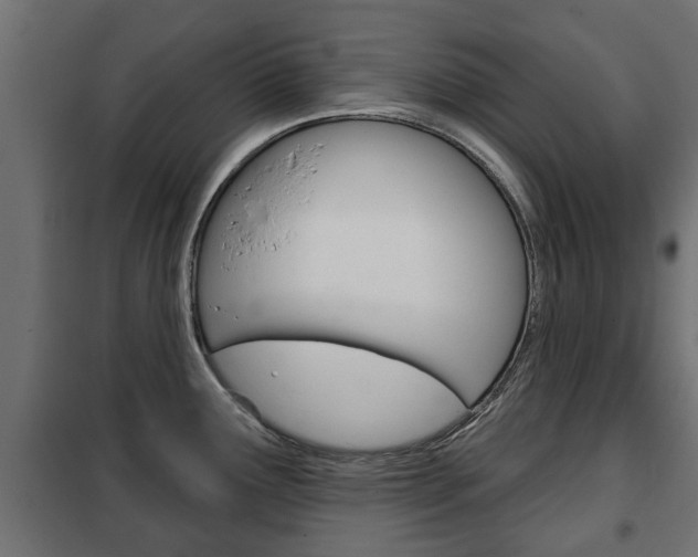 X0000102461291200808080935