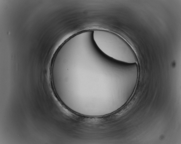 X0000102461293200808080935