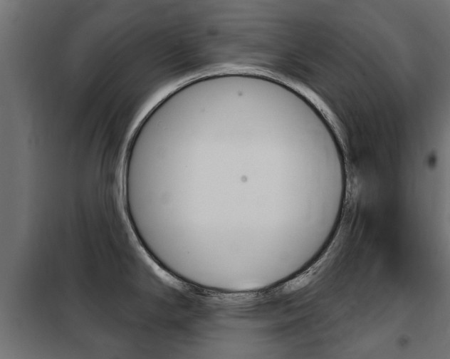 X0000102461294200808080935
