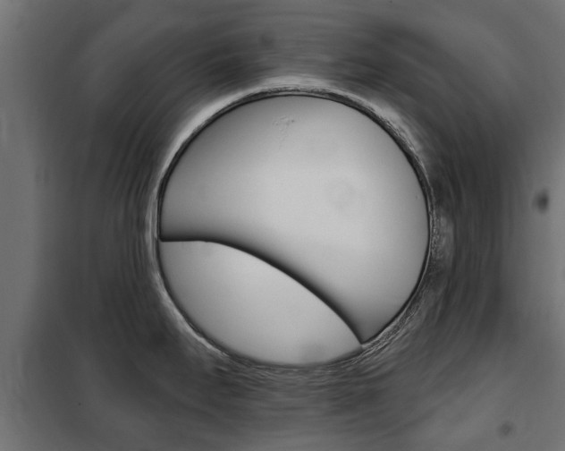 X0000102461295200808080935