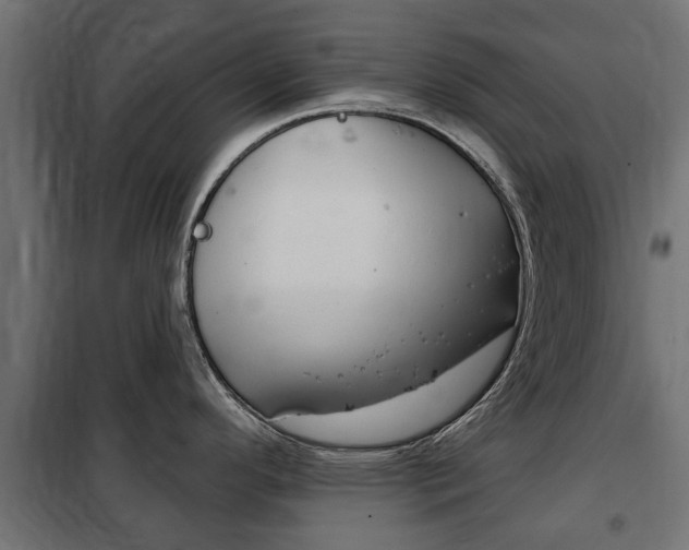 X0000102461296200808080935