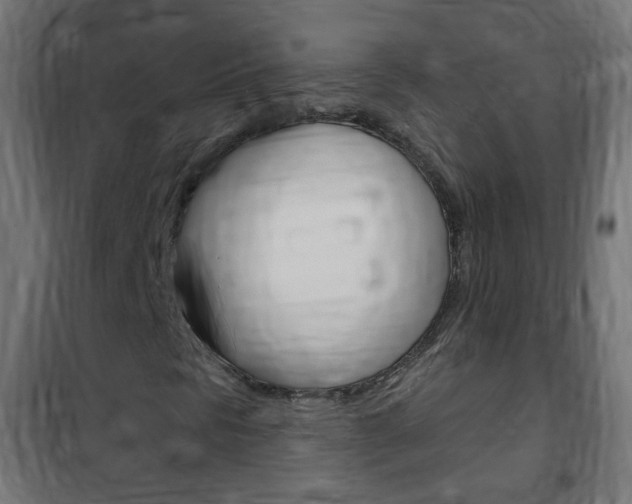 X0000102461297200808080934