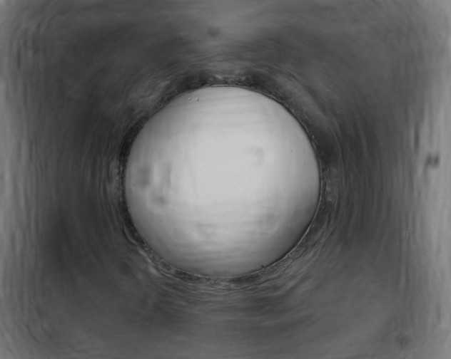 X0000102461298200808080934