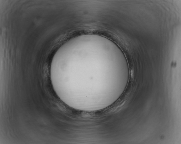 X0000102461299200808080934