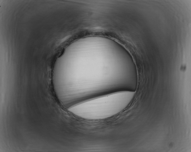 X0000102461301200808080934