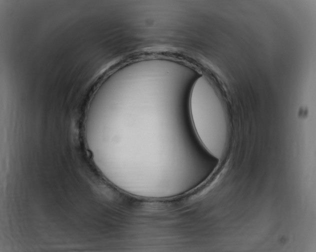 X0000102461305200808080934