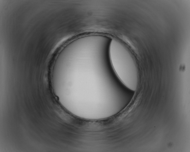 X0000102461307200808080934
