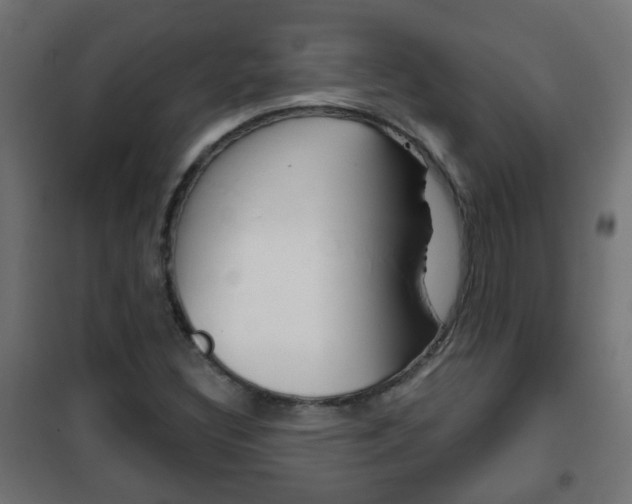 X0000102461308200808080934