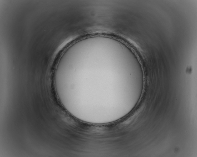 X0000102461309200808080934