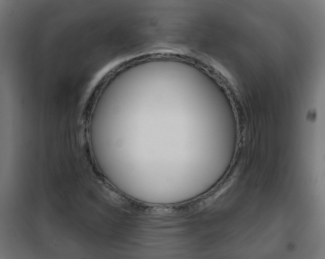 X0000102461310200808080934