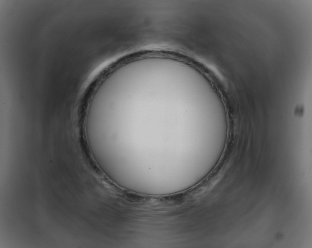 X0000102461311200808080934