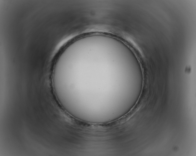 X0000102461312200808080934