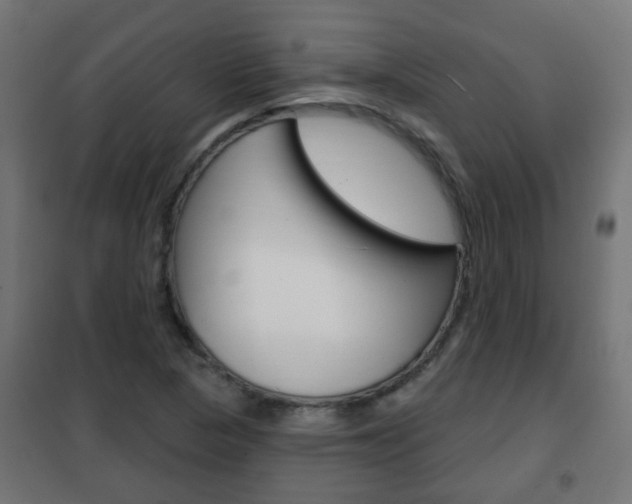 X0000102461313200808080935