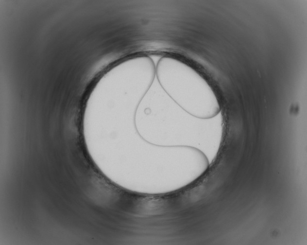 X0000102461314200808080935