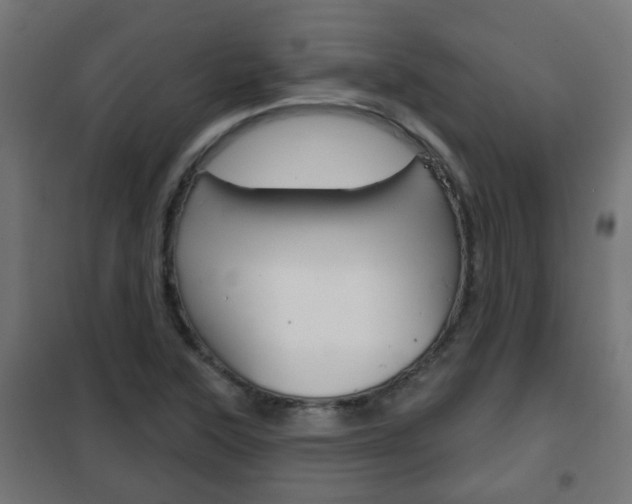 X0000102461315200808080935