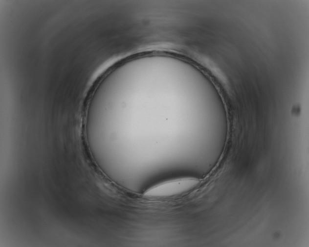 X0000102461316200808080935