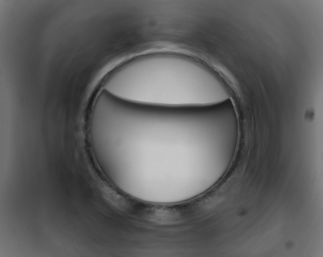 X0000102461318200808080935