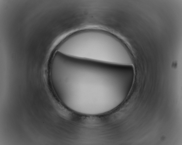 X0000102461319200808080935