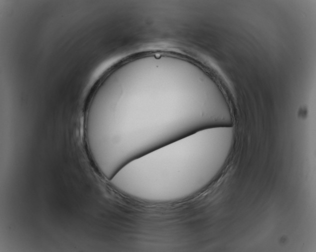 X0000102461320200808080935