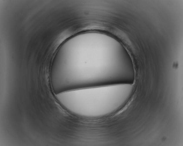 X0000102461321200808080935
