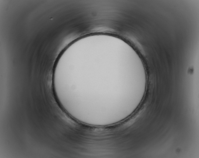 X0000102461322200808080935