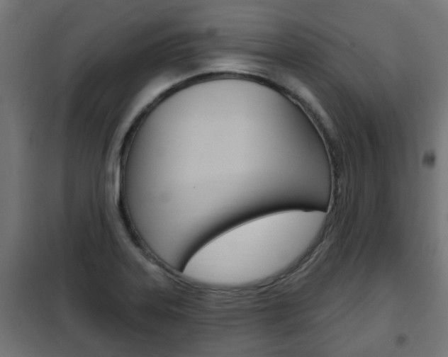 X0000102461323200808080935