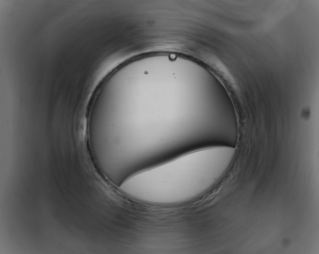 X0000102461324200808080935