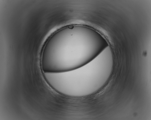 X0000102461326200808080935