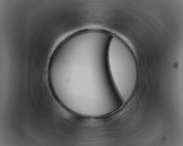 X0000102461327200808080935