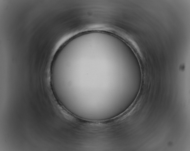 X0000102461328200808080935