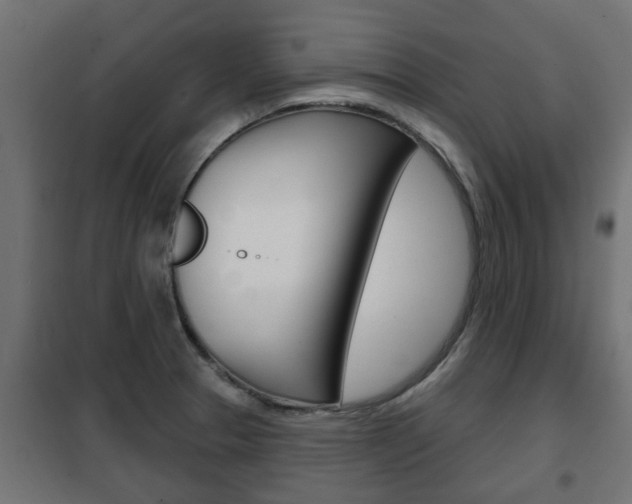 X0000102461329200808080935