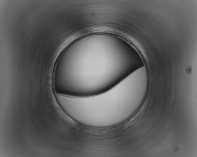 X0000102461330200808080935