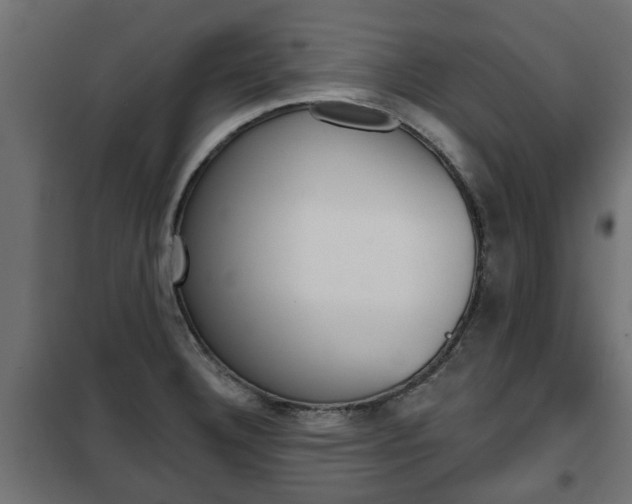 X0000102461332200808080935