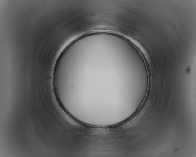 X0000102461333200808080935