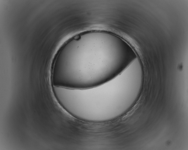 X0000102461334200808080935