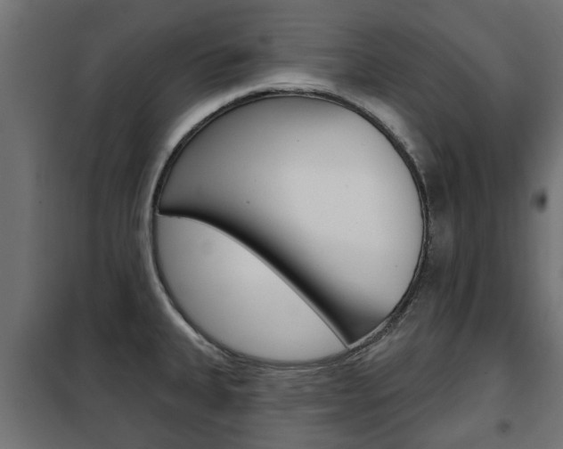 X0000102461335200808080935