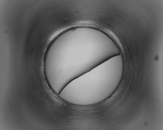 X0000102461336200808080935