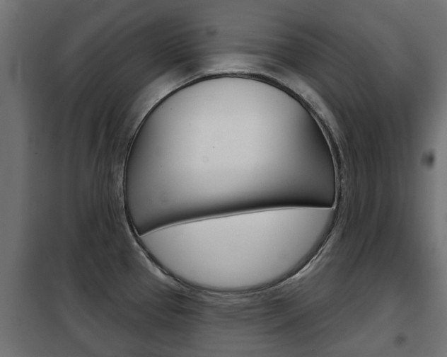 X0000102461337200808080935